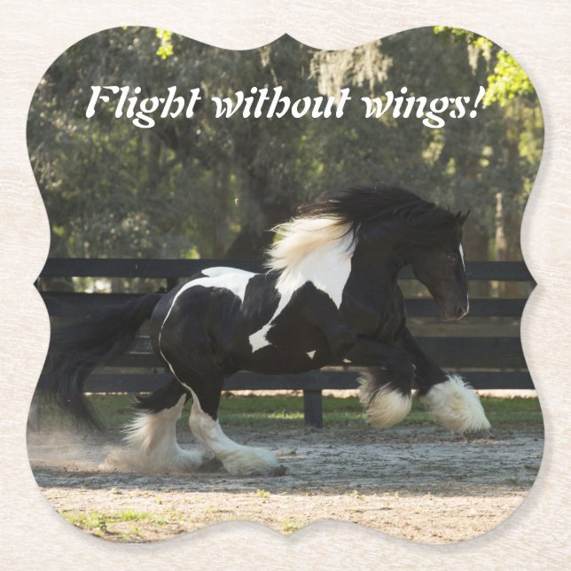 Gypsy Gold Gypsy Vanner Horse coasters (Front)