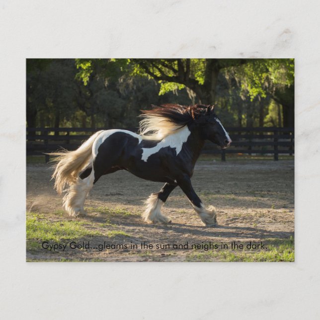 Gypsy Gold proveb postcard (Front)