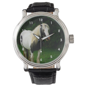 Gypsy horse photo watch