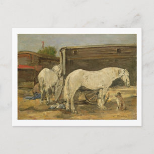 Gypsy Horses, c.1885-90 (oil on canvas) Postcard