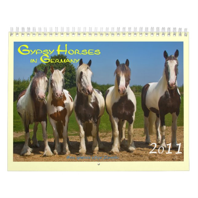 Gypsy Horses in Germany 2016 Calendar (Cover)
