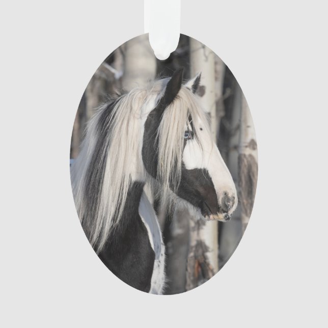 Gypsy in the Forest Wild Hoofbeats Ornament (Front)