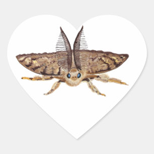 Gypsy moth, Lymantria dispar dispar, flying Heart Sticker