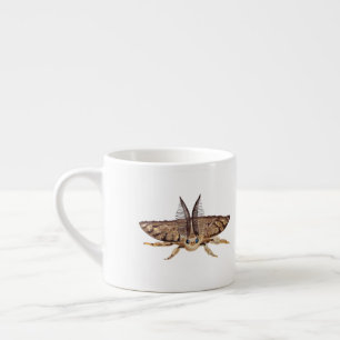 Gypsy moth, Lymantria dispar dispar Zoological Espresso Cup