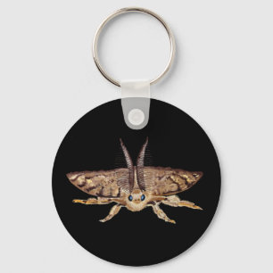 Gypsy moth, Lymantria dispar dispar Zoological Key Ring