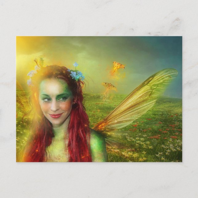 Gypsy Moth Postcard (Front)