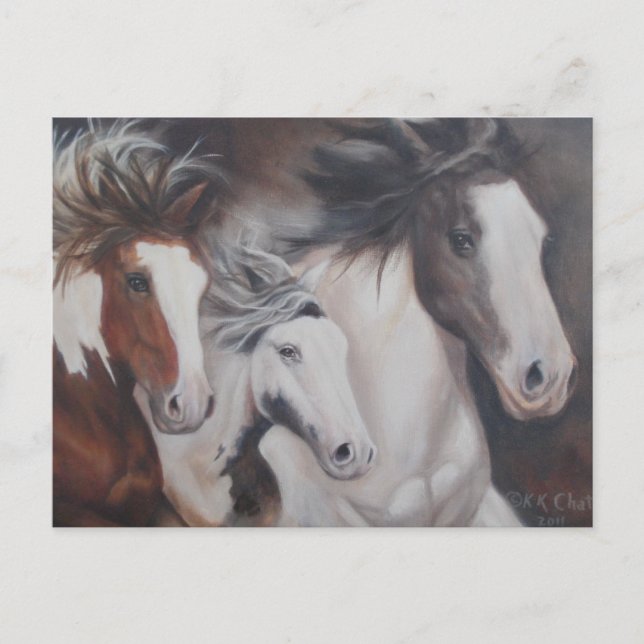 Gypsy Run Postcard (Front)