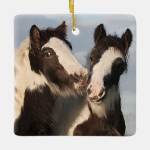 Gypsy Vanner Horse Friends Ceramic Ornament