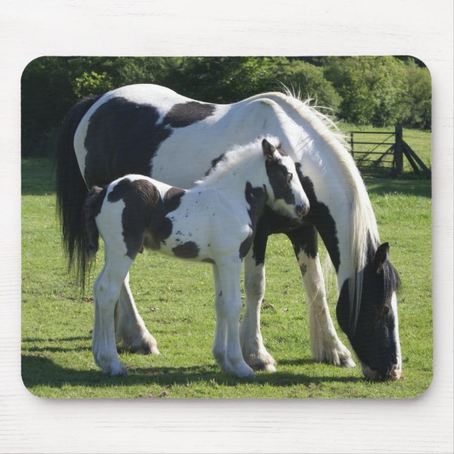 Gypsy Vanner Horse Mare and Foal Mouse Mat (Front)