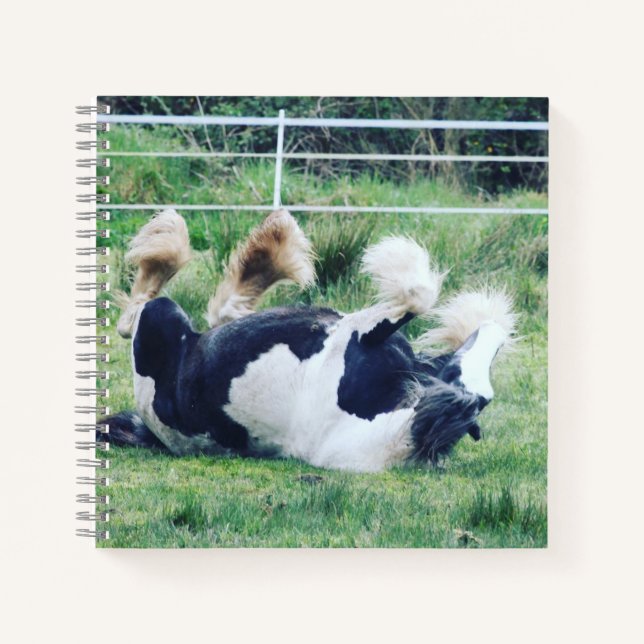 Gypsy vanner horse rolling in the grass notebook (Front)