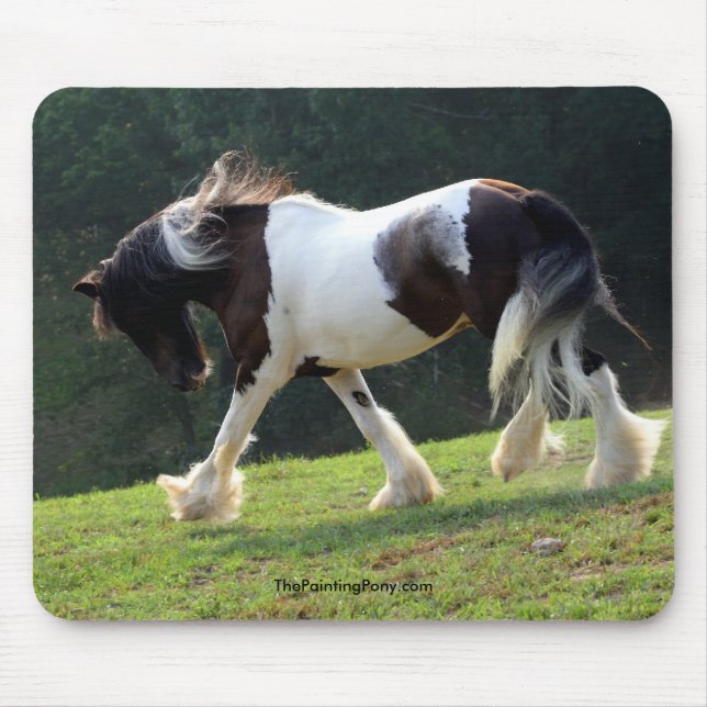Gypsy Vanner Mouse Mat (Front)