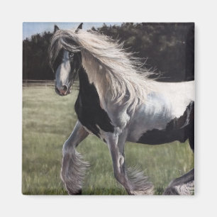 Gypsy vanner pinto horse running in field magnet