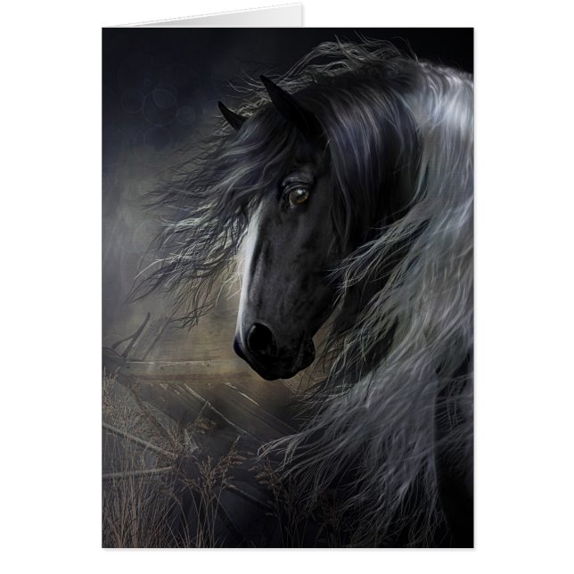 Gypsy Vanner Portrait (Front)