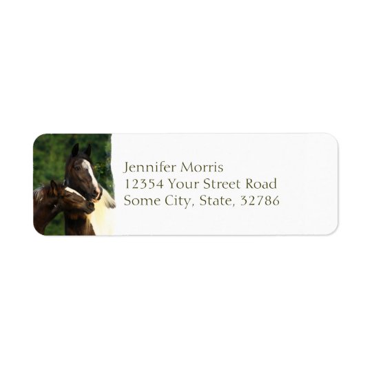Gypsy Vanner Return Address Label