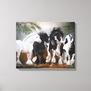 Gypsy Vanner Stallions Art Print