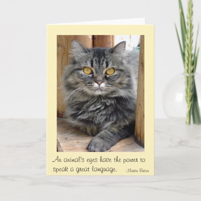 Gypsy's Eyes Thank You Card (Front)