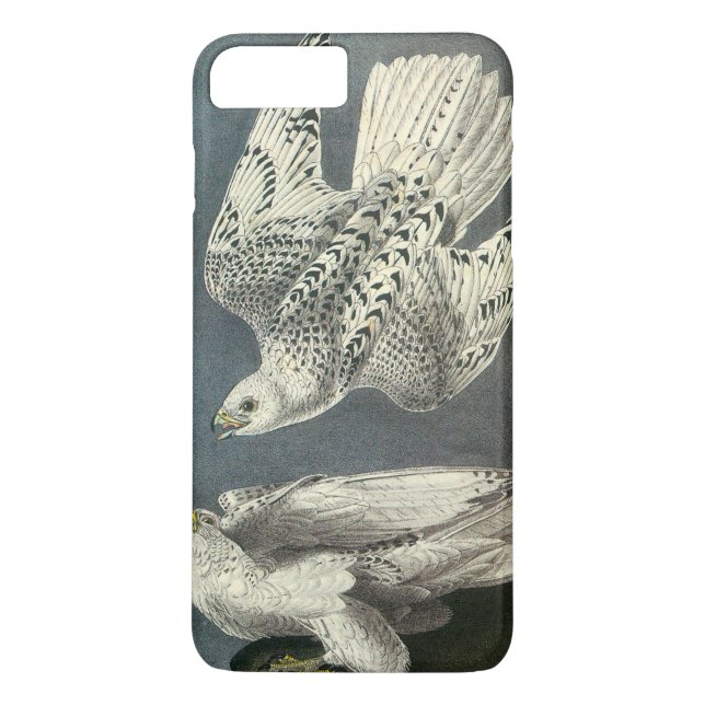 Gyrfalcon by Audubon Case-Mate iPhone Case (Back)