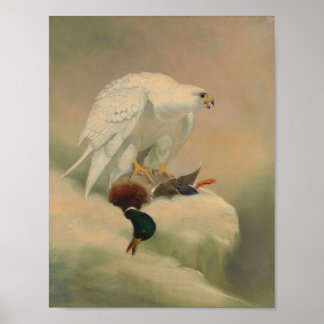 Gyrfalcon by Joseph Wolf Poster