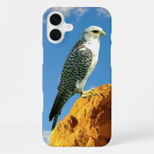 Gyrfalcon perched on a rock phone case