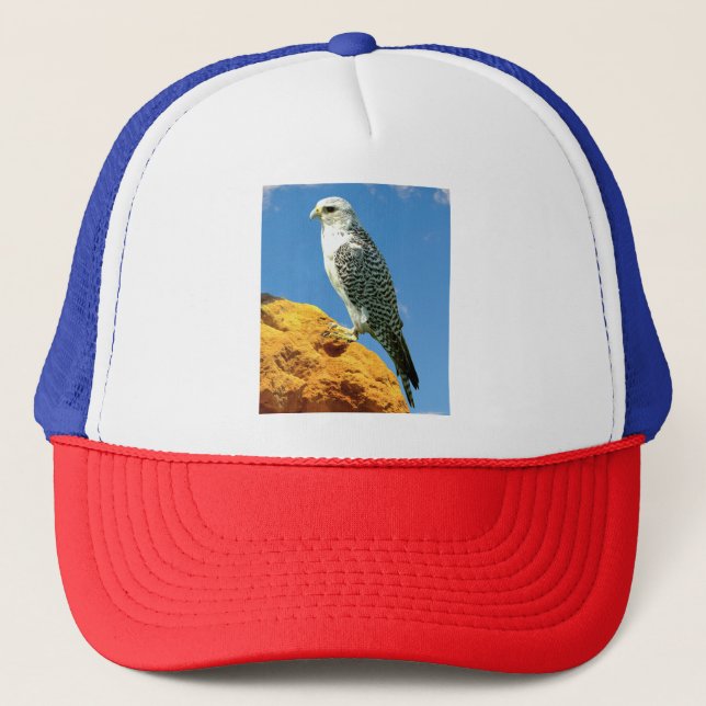 Gyrfalcon perched on a rock trucker hat (Front)