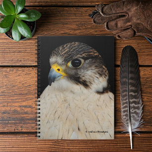 Gyrfalcon Saker Hybrid Falcon Notebook