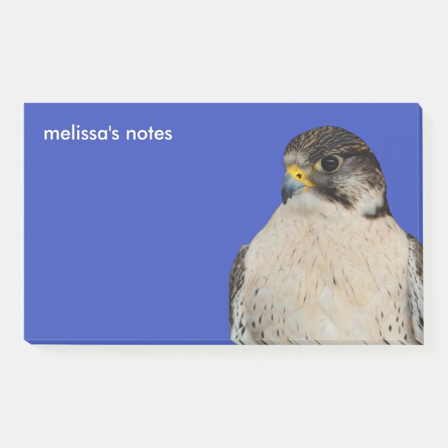 Gyrfalcon Saker Hybrid Falcon Post-it Notes (Front)