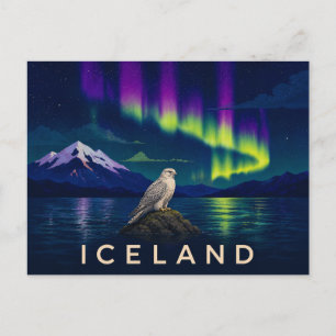 Gyrfalcon Under the Aurora   Iconic Iceland Postcard