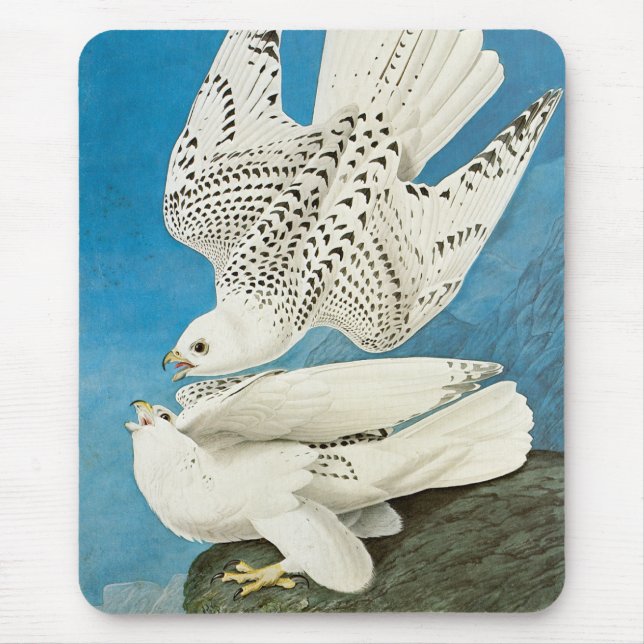 Gyrfalcons, aka Gerfalcons by John James Audubon Mouse Mat (Front)