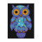H00t Owl Midnight Madness Postcard
