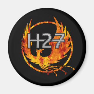 H27 Magnet
