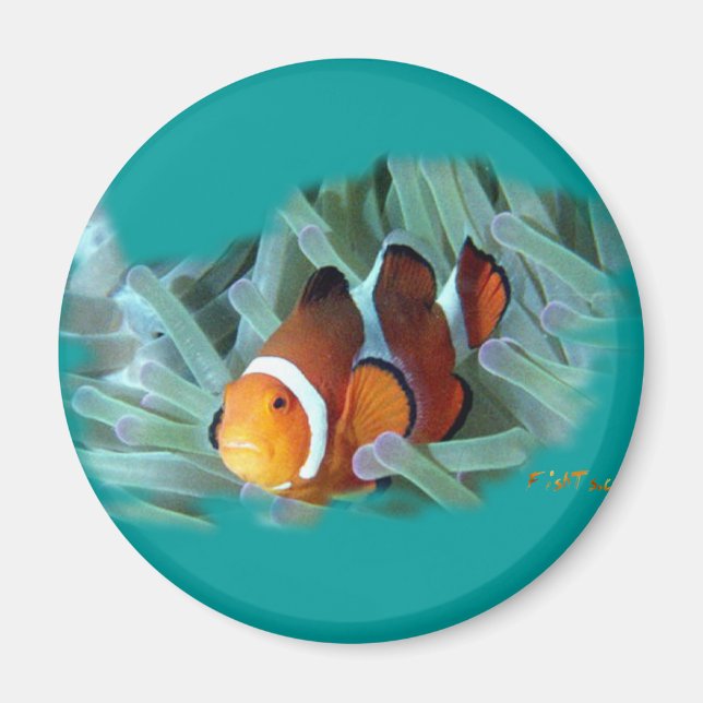 H2Oasis Clownfish Magnet (Front)