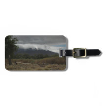H.A.S. Arts luggage tag, image detail, Bosque