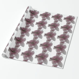 H.A.S. Arts Magnolia pattern Wrapping Paper