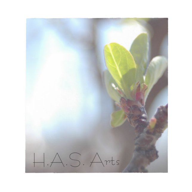 H.A.S. Arts Spring Notepad (Front)