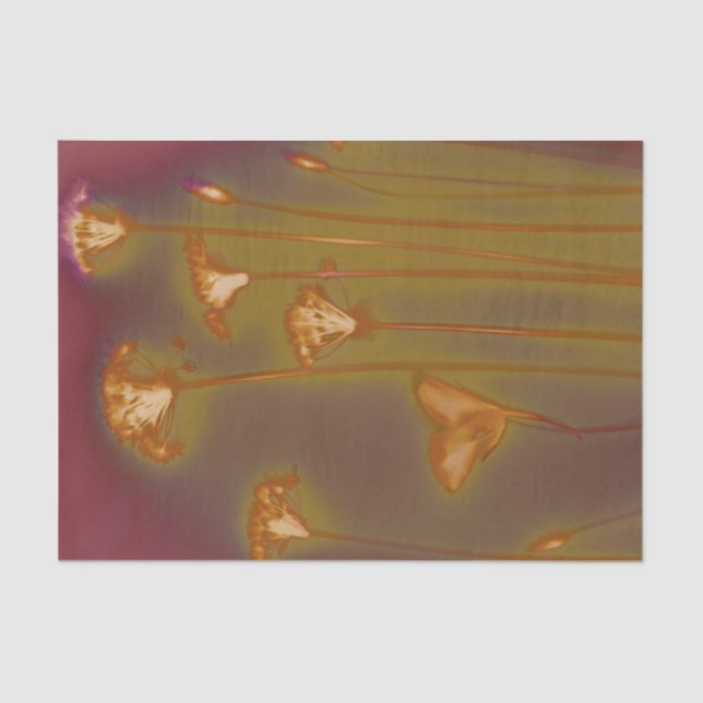 H.A.S. Arts tissue paper, Lough image detail Paper (Front)