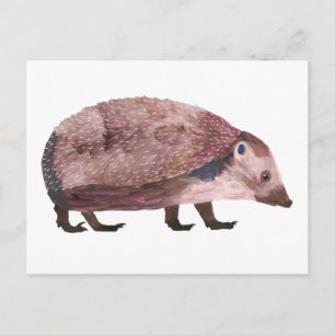 H. Hedgehog / carte postale Postcard
