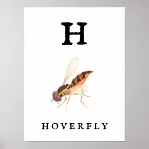 "H" Hoverfly Print, Value Poster Paper (Matte)