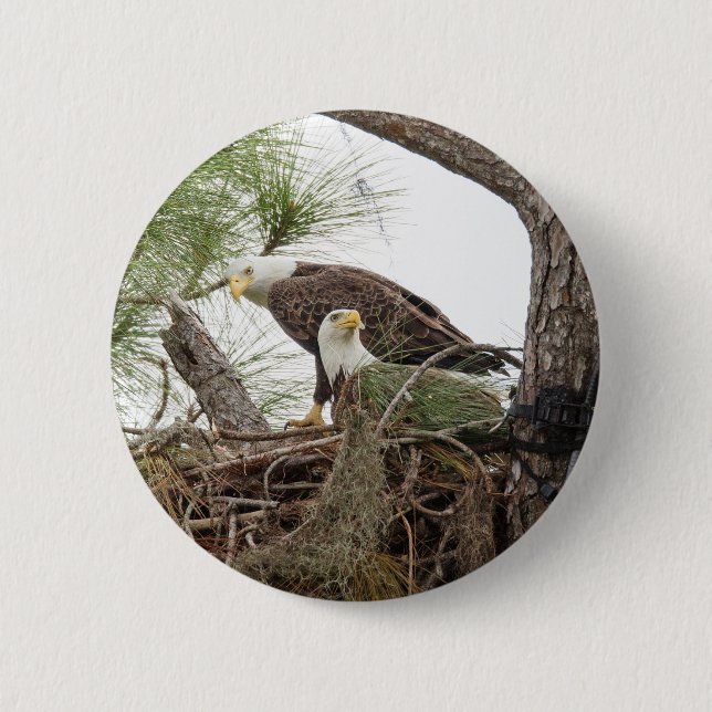 H & M Button (Front)