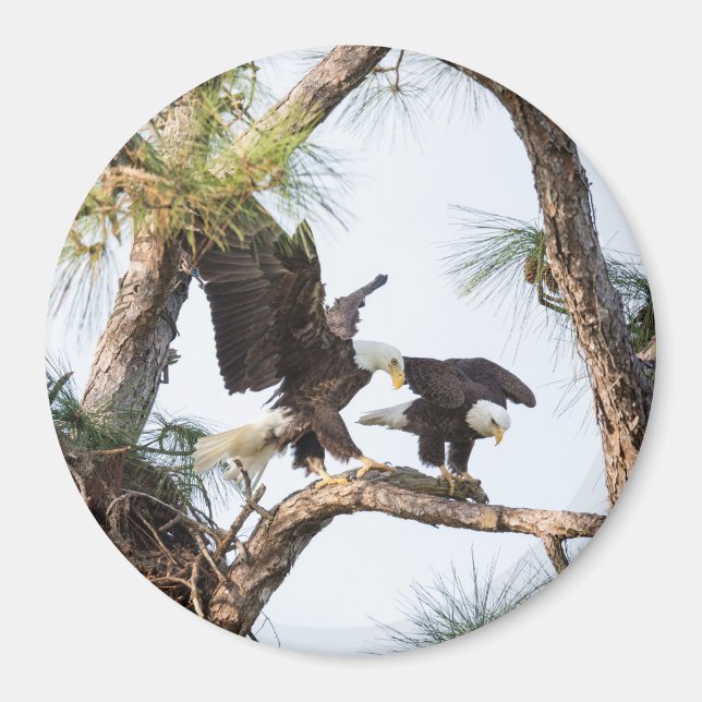 H & M Magnet (Front)