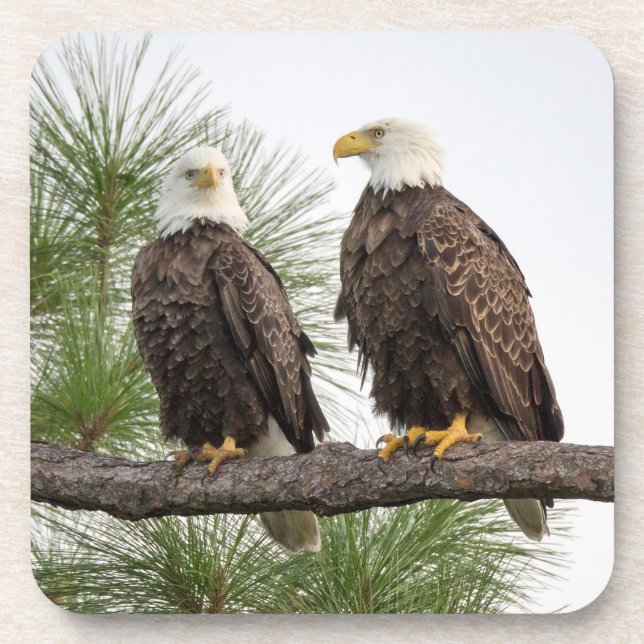 H&O Coaster Set (Front)