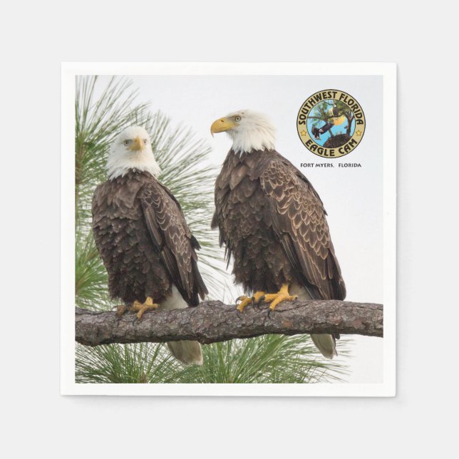 H&O Eagle Cam Cocktail Paper Napkins (Front)