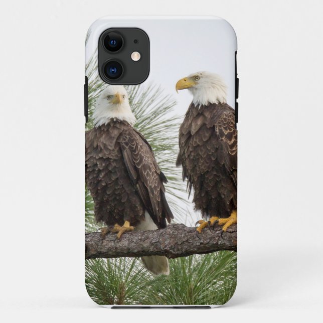 H&O Tablet/Phone Case (ALL TYPES) (Back)