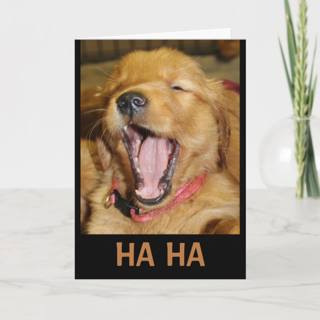 HA HA You're Older Than Me Laughing Puppy Card (Front)
