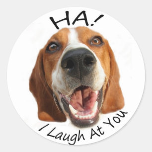 Ha!  I laugh at you Classic Round Sticker