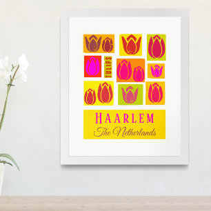 Haarlem Tulips Netherlands Holland  Poster