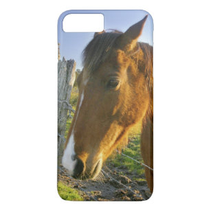 Haast, New Zealand. A horse ranch in New 2 Case-Mate iPhone Case
