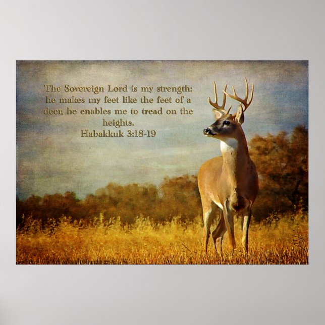 Habakkuk 3:18 Inspirational Poster (Front)