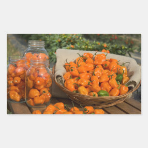 Habanero Garden Rectangular Sticker