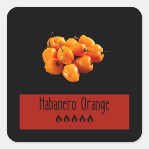 Habanero Orange Square Sticker