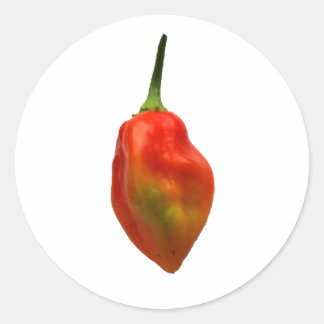 Habernero Single Pepper Photograph Classic Round Sticker